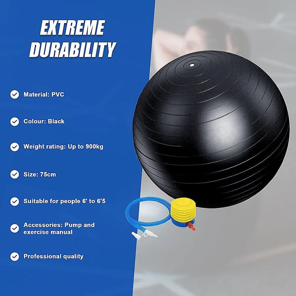 75cm Static Strength Exercise Stability Ball with Pump [ONLINE ONLY]