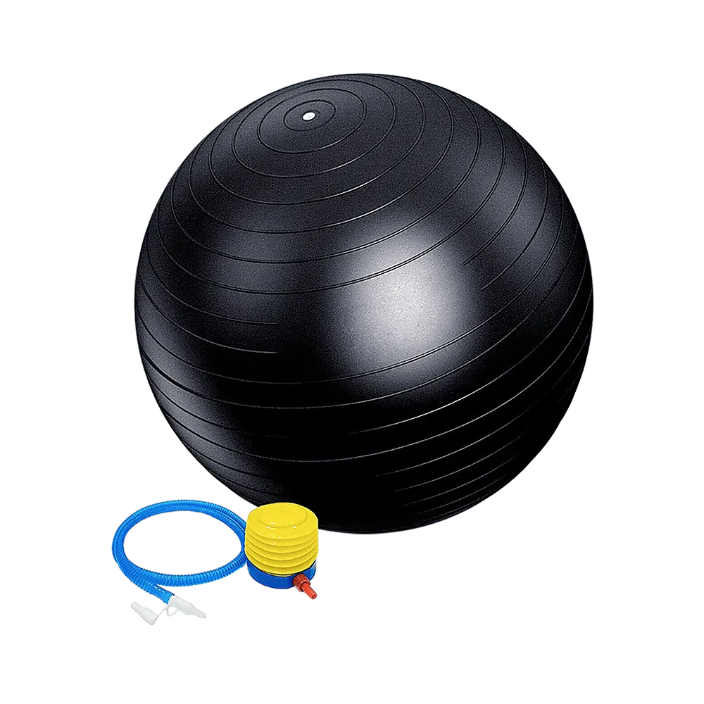 75cm Static Strength Exercise Stability Ball with Pump [ONLINE ONLY]