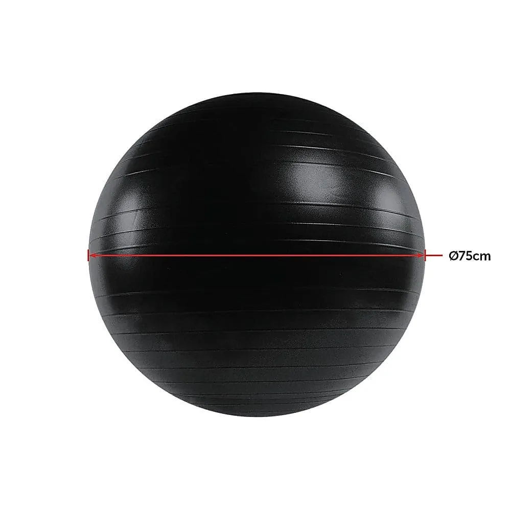 75cm Static Strength Exercise Stability Ball with Pump [ONLINE ONLY]