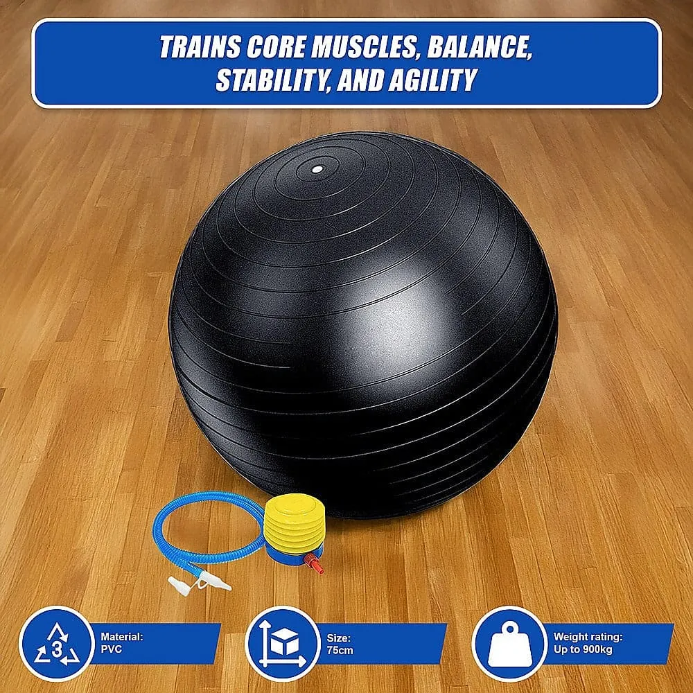 75cm Static Strength Exercise Stability Ball with Pump [ONLINE ONLY]