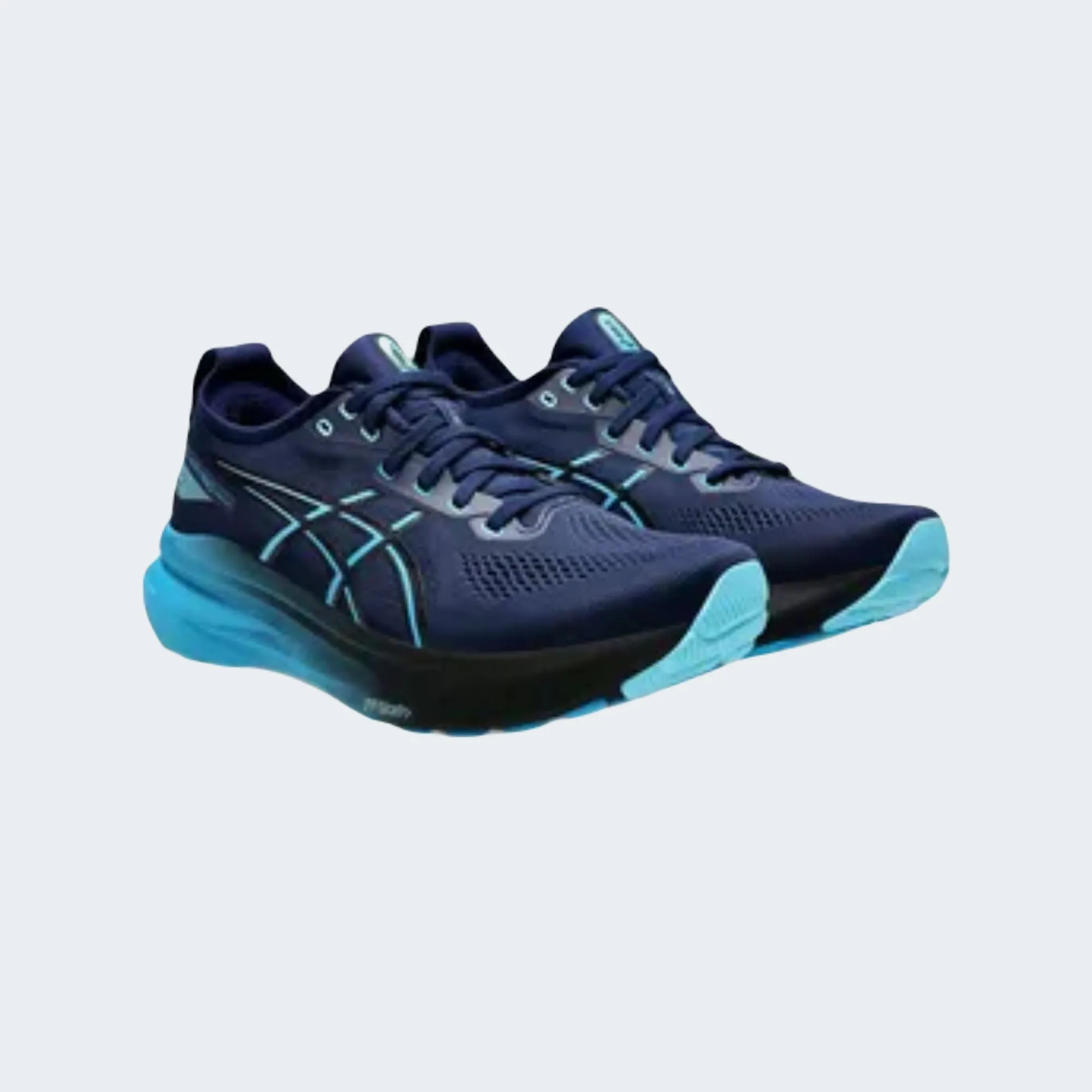 BLUE EXPANSE/DIGITAL AQUA GEL-KAYANO 31
