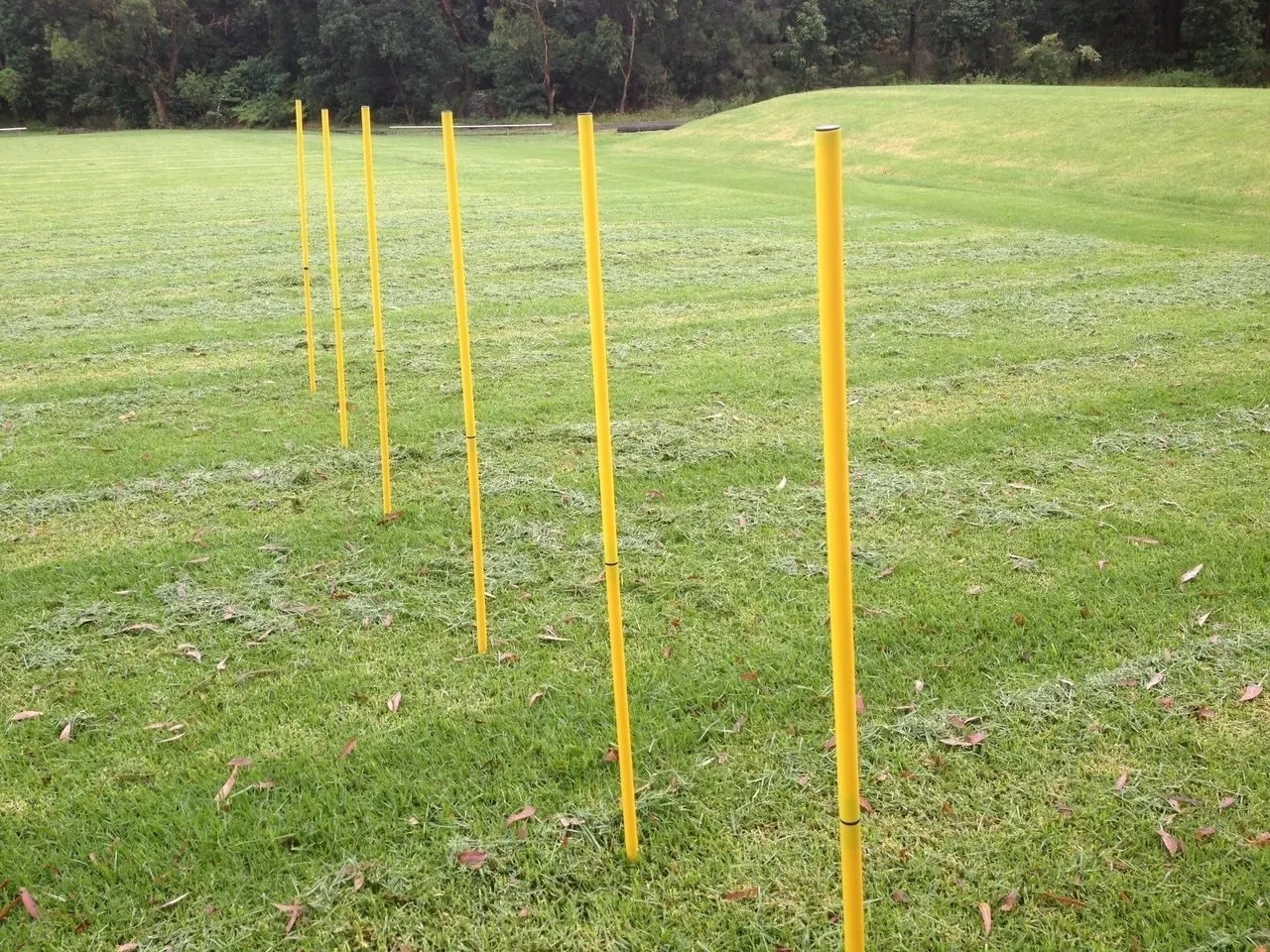 Brand New Dog Agility Training Exercise Equipment Set