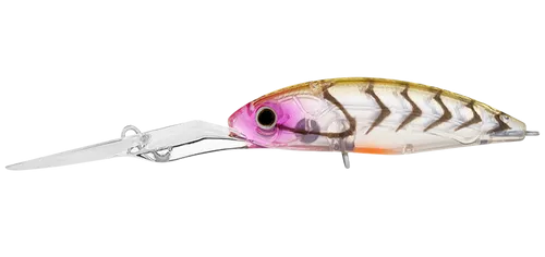 Daiwa Infeet Spike 53mm EXDR Crankbait Hard Body Lure
