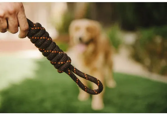 P.L.A.Y Pet Tug Rope Dog Toy, Small/Large