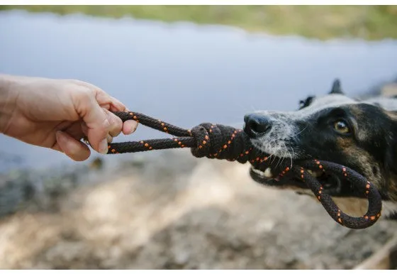 P.L.A.Y Pet Tug Rope Dog Toy, Small/Large
