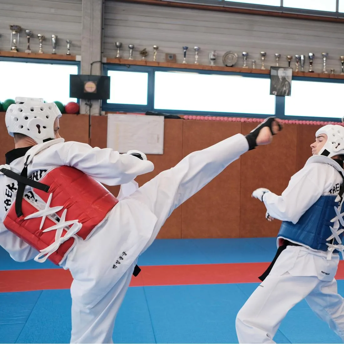 Taekwondo Headguard 500