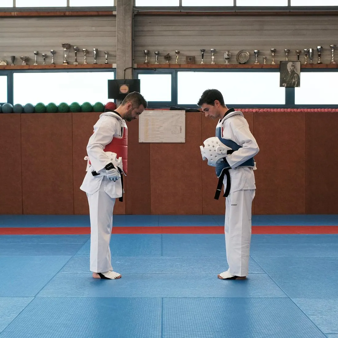 Taekwondo Headguard 500