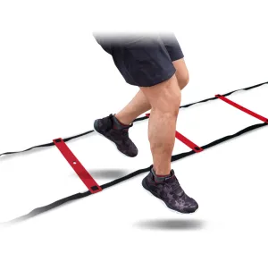UFC Speed Ladder