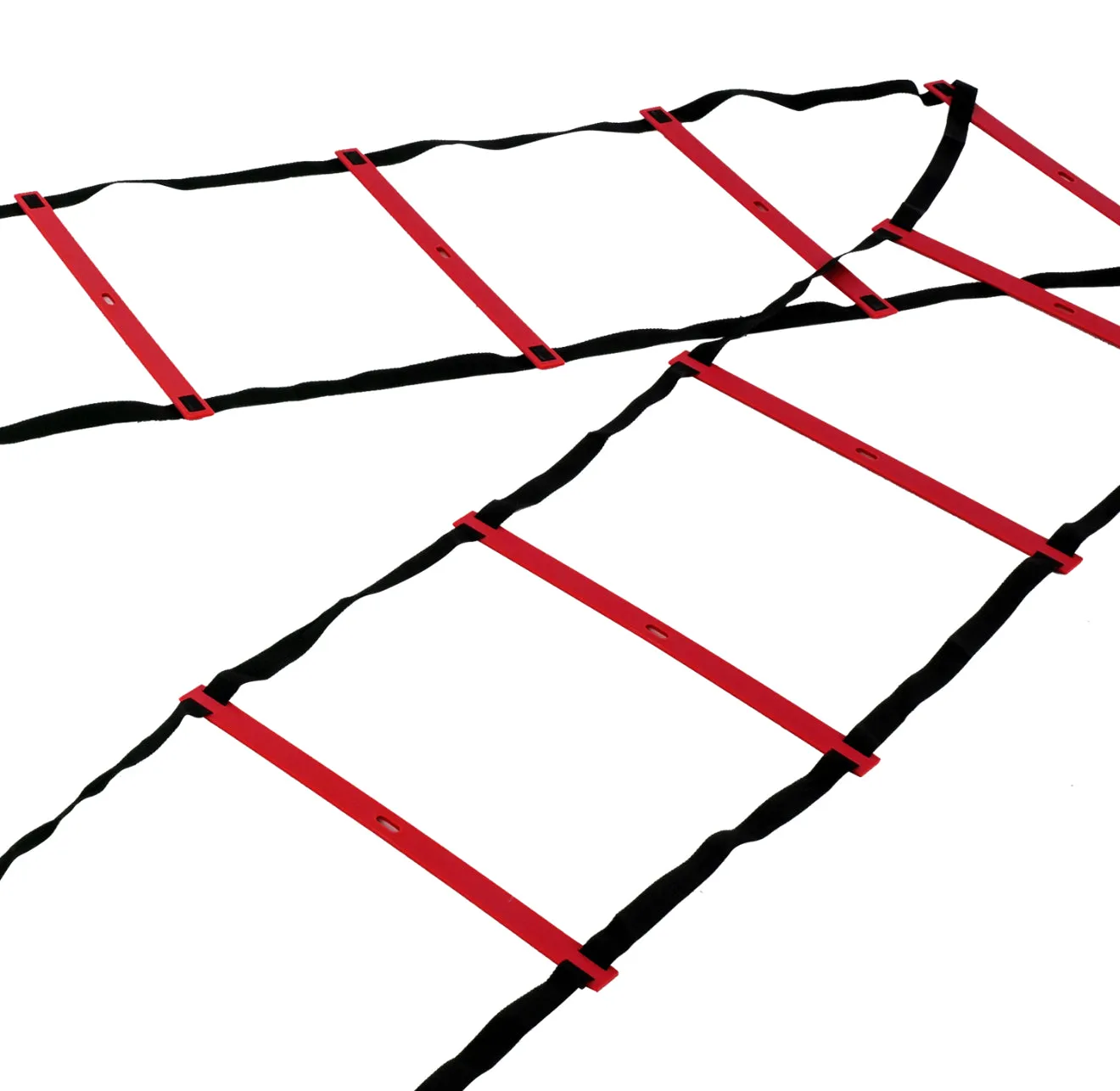 UFC Speed Ladder