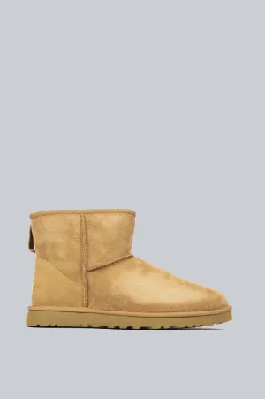 UGG CLASSIC MINI BOOT MEN'S CHESTNUT