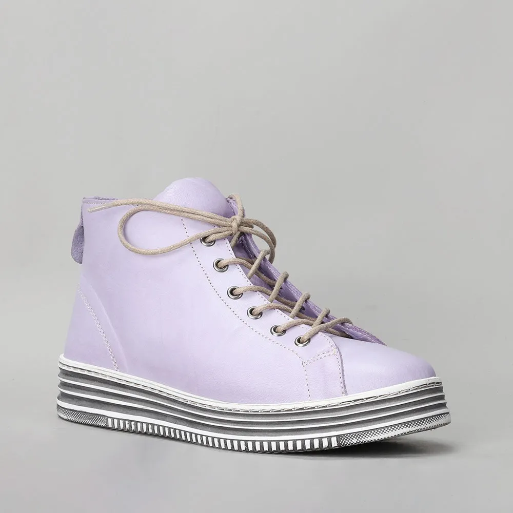 Vivid - Lilac