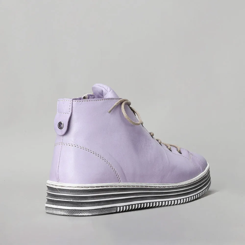 Vivid - Lilac