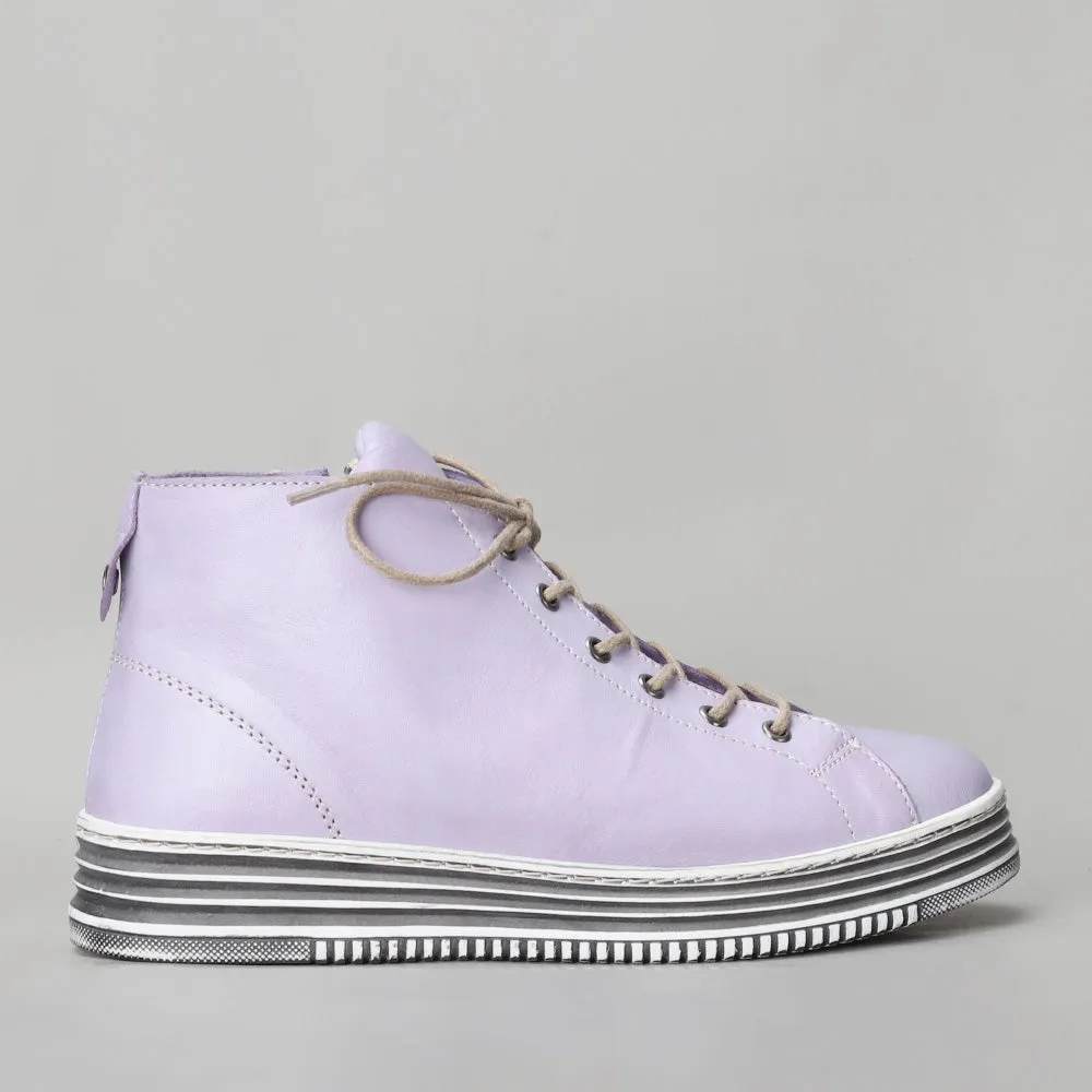 Vivid - Lilac