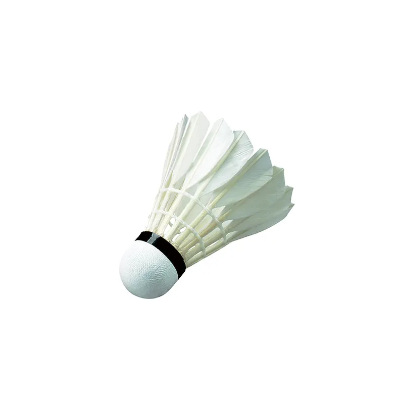 WISH W11 TRAINING  BADMINTON SHUTTLE  FEATHER